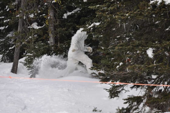Yeti in Tree Small File — Kyle Parker Cunningham