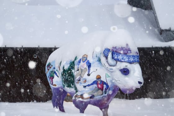 Luke Jaraczeski